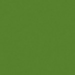 slide-bg-green