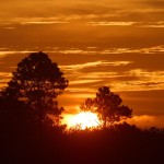 sunrise-3